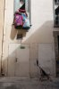 Foto de la Galeria